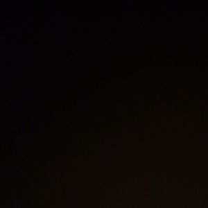 Meet your Posher, Larry